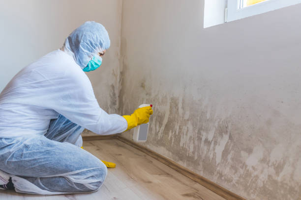 Licensed Mold Testing service in Middletown, KY - WQB Mold Removal