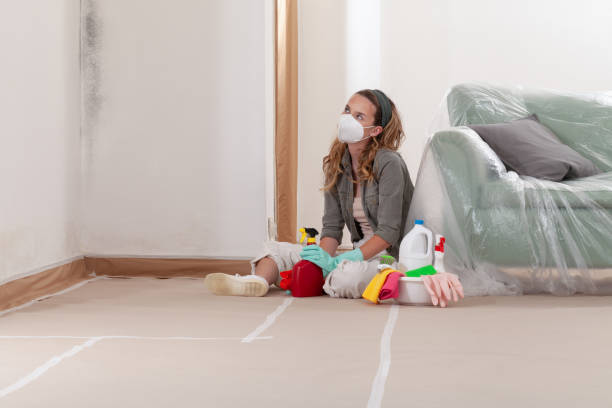 Reliable Mold Testing contractor in Middletown, KY by WQB Mold Removal